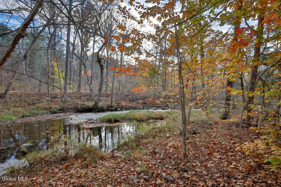 1064 Country Rt 411 Westerlo, NY 12193 - Photo 41 of 49 1064-Rt411-41