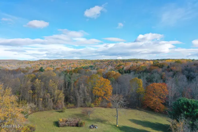 $320,000 | 1064 Country Rt 411, Westerlo, NY 12193