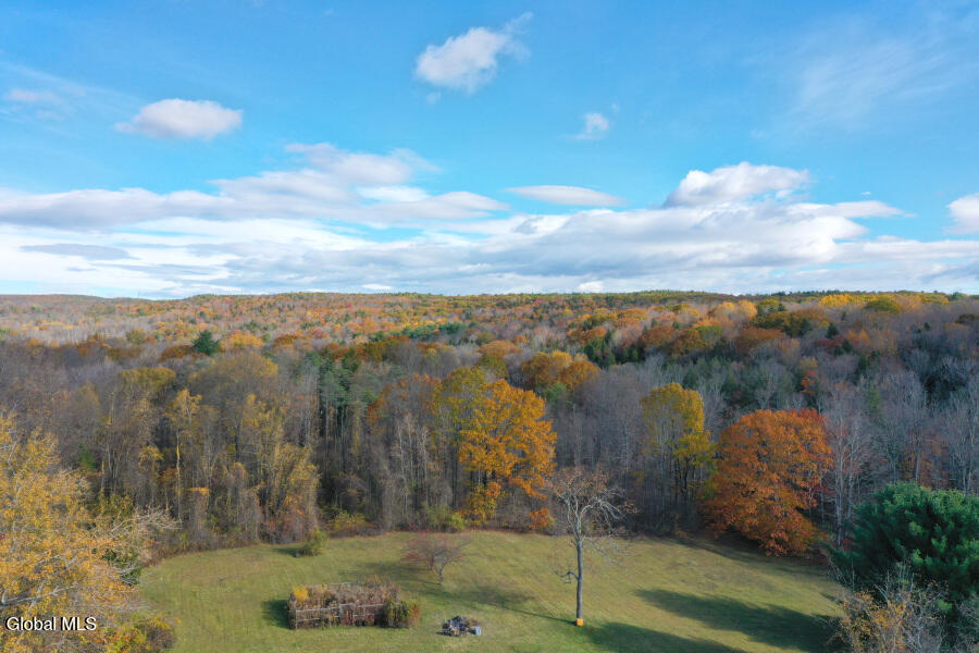 1064 Country Rt 411 Westerlo, NY 12193 - Photo 42 of 49 1064-Rt411-42