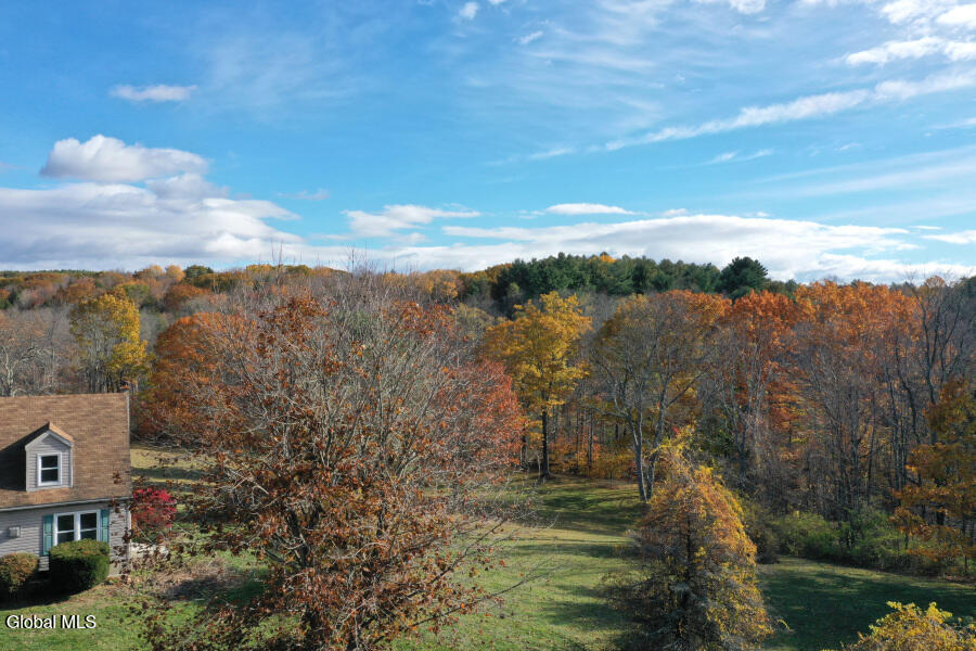 1064 Country Rt 411 Westerlo, NY 12193 - Photo 43 of 49 1064-Rt411-43