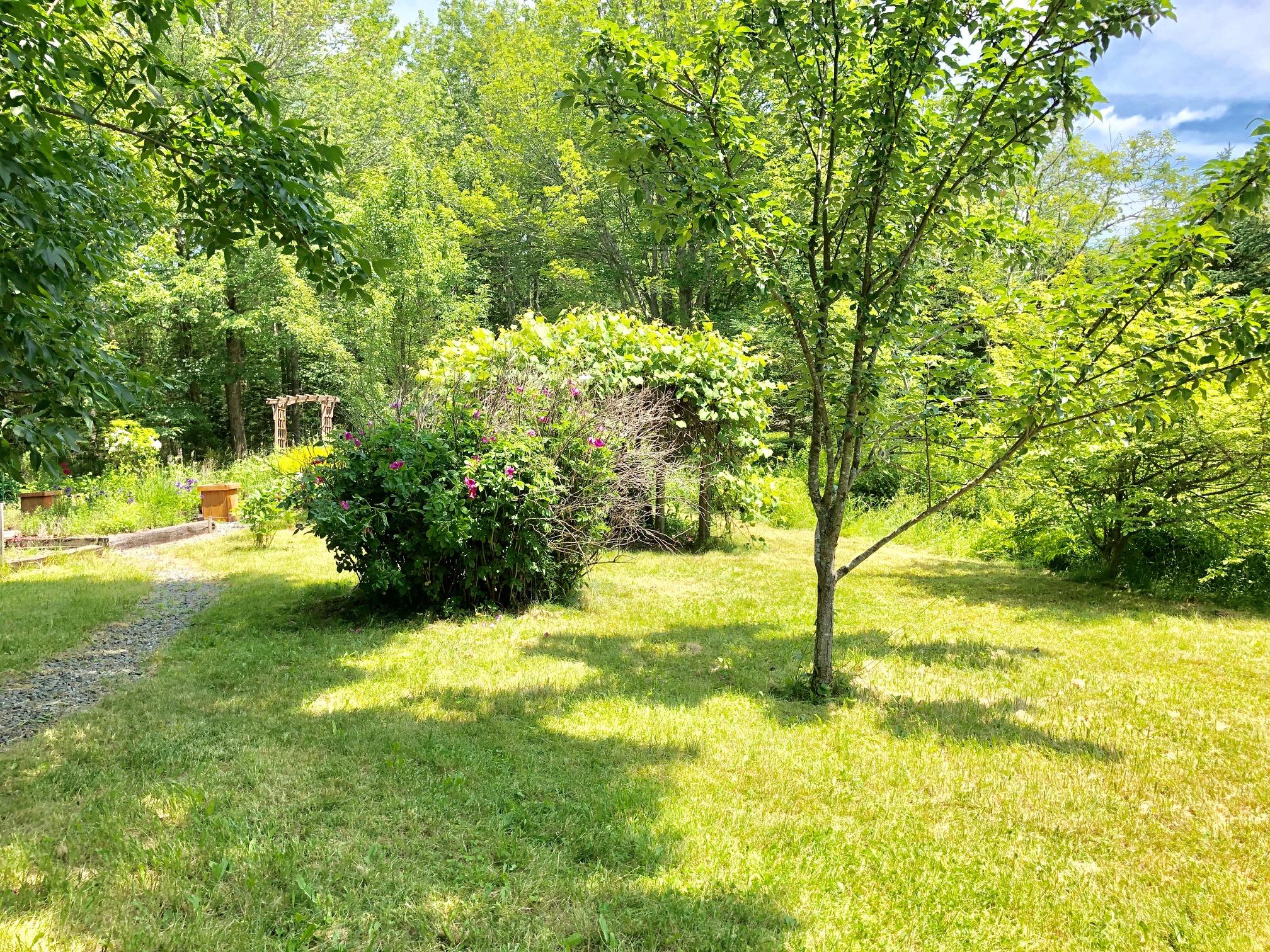 668 Bayside Road Ellsworth, ME 04605 - Photo 37 of 47 Back lawn yard