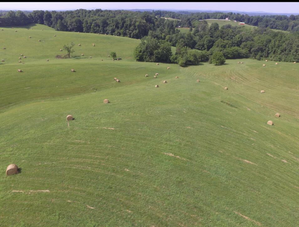 0 Ridge Road Albany, KY 42602 - Photo 1 of 4 IMG_2839