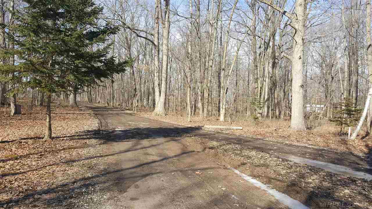 8780 Owens Road Yale, MI 48097 - Photo 4 of 39