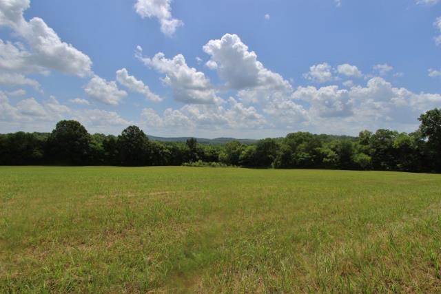 605 Dunaway Road Lebanon, TN 37090 - Photo 18 of 20 Incredible back pasture with vista views