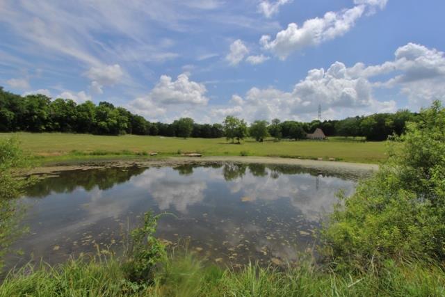 605 Dunaway Road Lebanon, TN 37090 - Photo 3 of 20 Large pond in front pasture, great for horses!