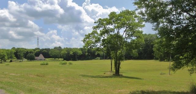 605 Dunaway Road Lebanon, TN 37090 - Photo 9 of 20 Lots of wildlife, if you look closely, you can see a fawn in the pasture
