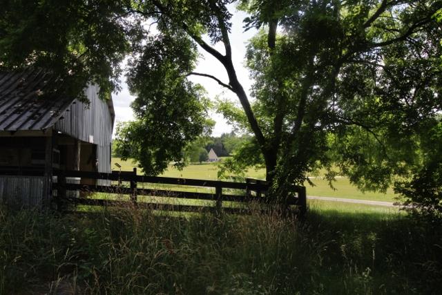 605 Dunaway Road Lebanon, TN 37090 - Photo 10 of 20 Gorgeous!