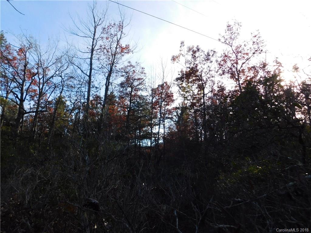 Tbd Morgan Mountain Road Rosman, NC 28772 - Photo 2 of 3 Gallery Image 2