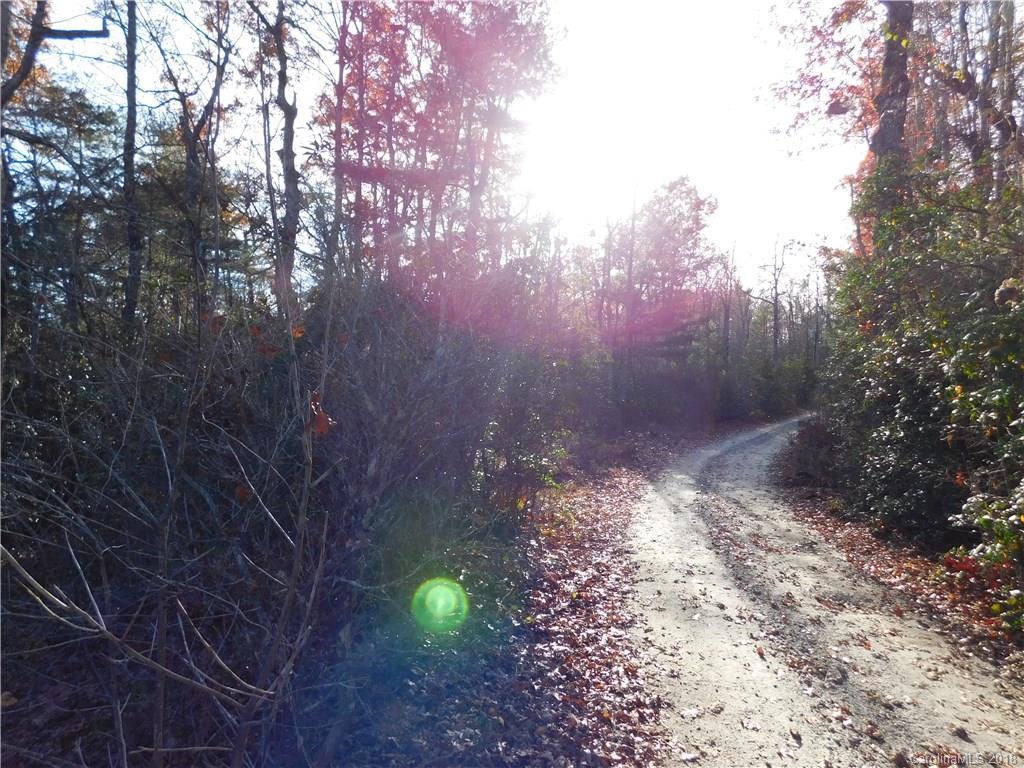 Tbd Morgan Mountain Road Rosman, NC 28772 - Photo 3 of 3 Gallery Image 3
