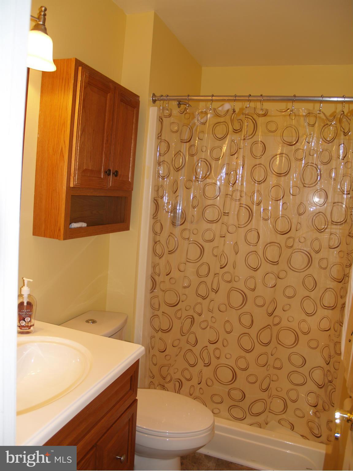 974 Point Pleasant Road Glen Burnie, MD 21060 - Photo 15 of 30 Bath (Master)