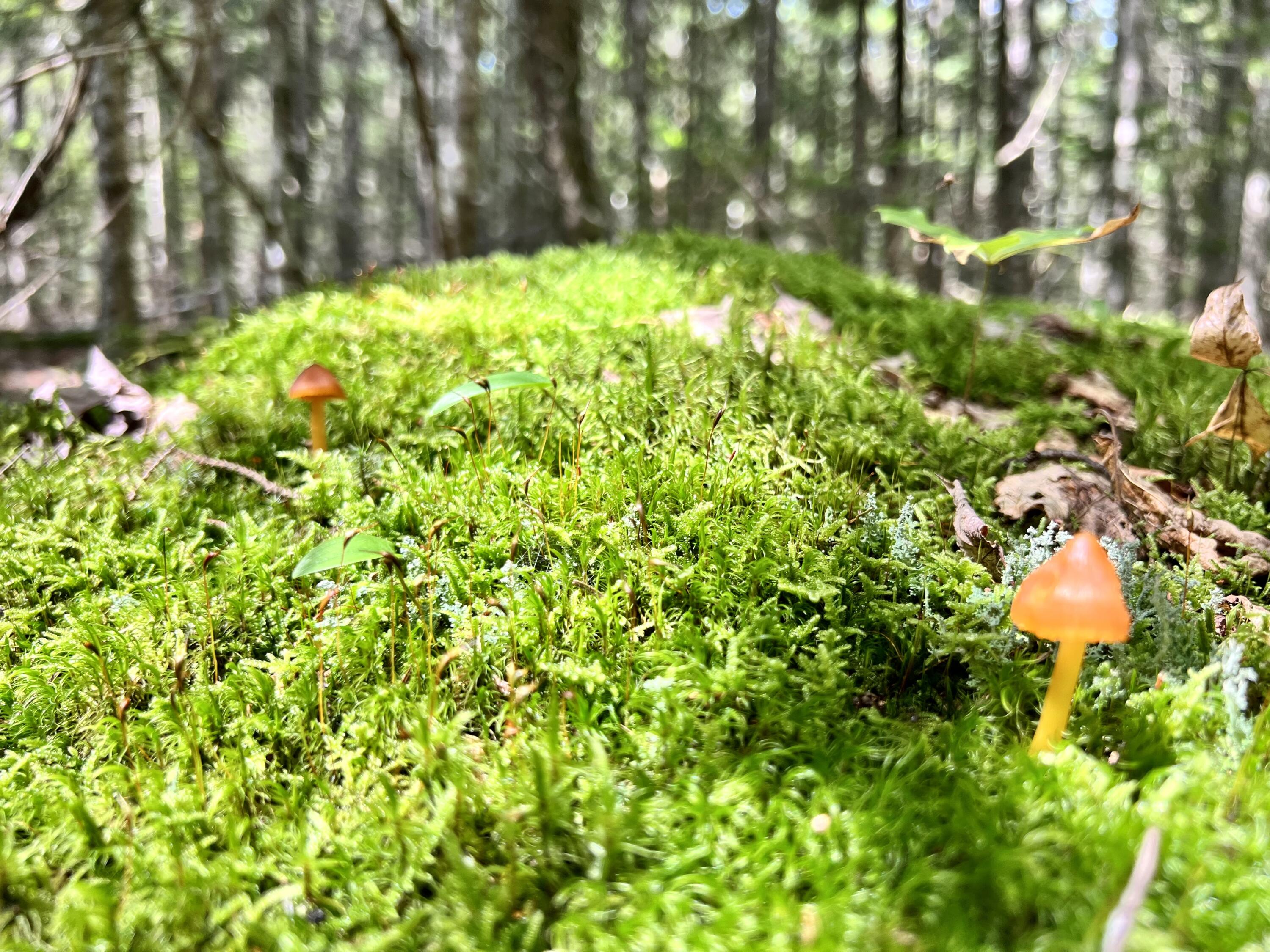 M7-l11a Pond Hill Road Brooks, ME 04921 - Photo 1 of 10 2981980E-E4EB-4F4D-8A09-E0814E53E7BD