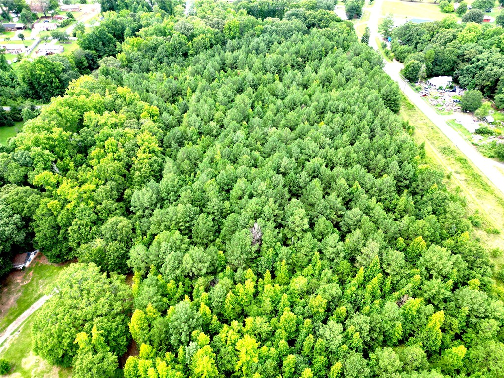0 Airline Road Anderson, SC 29624 - Photo 4 of 10