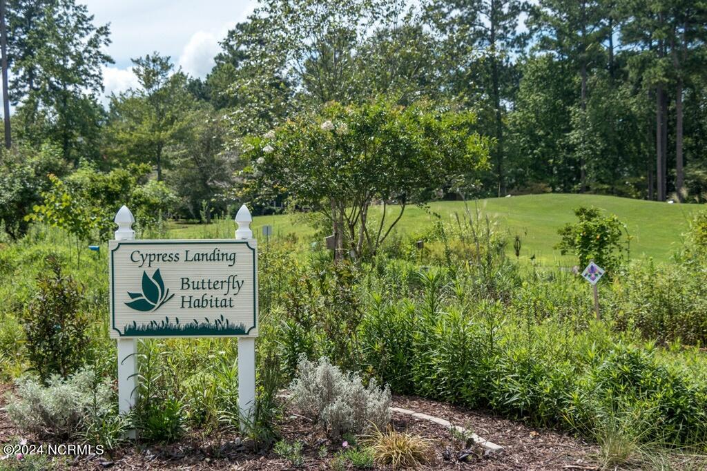 101 Bay Ridge Chocowinity, NC 27817 - Photo 79 of 93 butterfly-garden