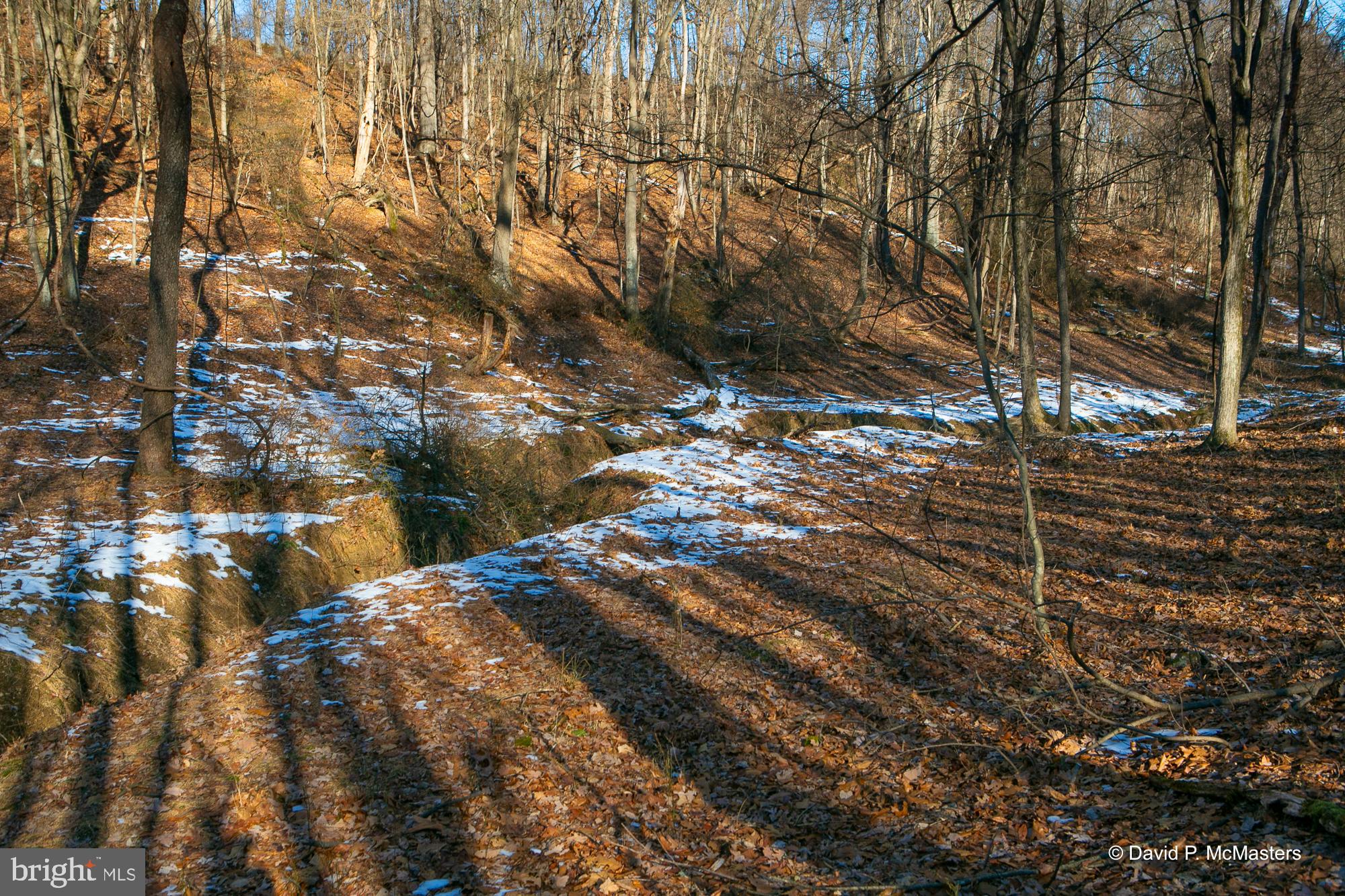 Teardrop Trail Gerrardstown, WV 25420 - Photo 11 of 29