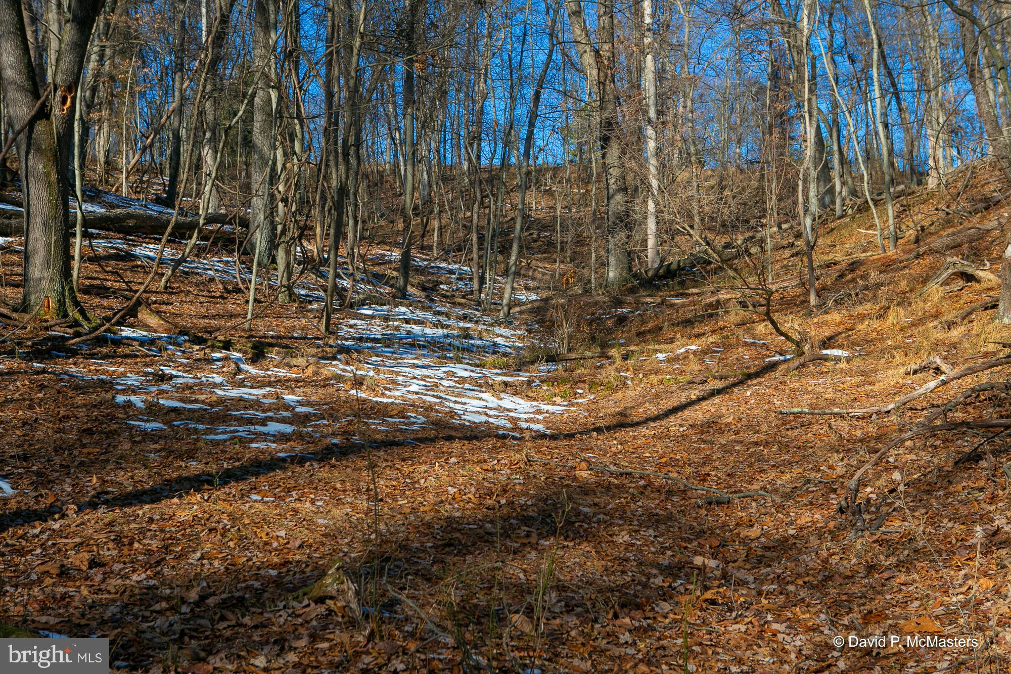 Teardrop Trail Gerrardstown, WV 25420 - Photo 13 of 29