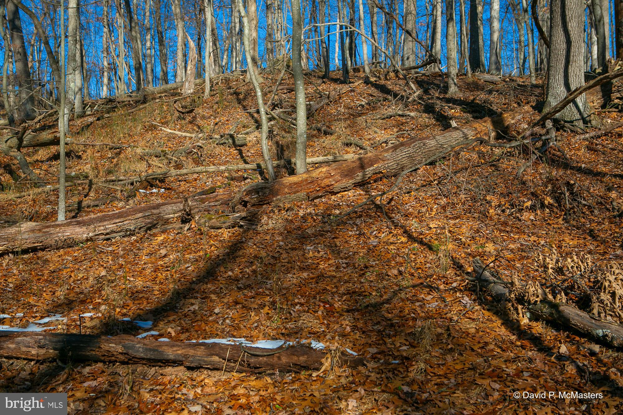 Teardrop Trail Gerrardstown, WV 25420 - Photo 14 of 29