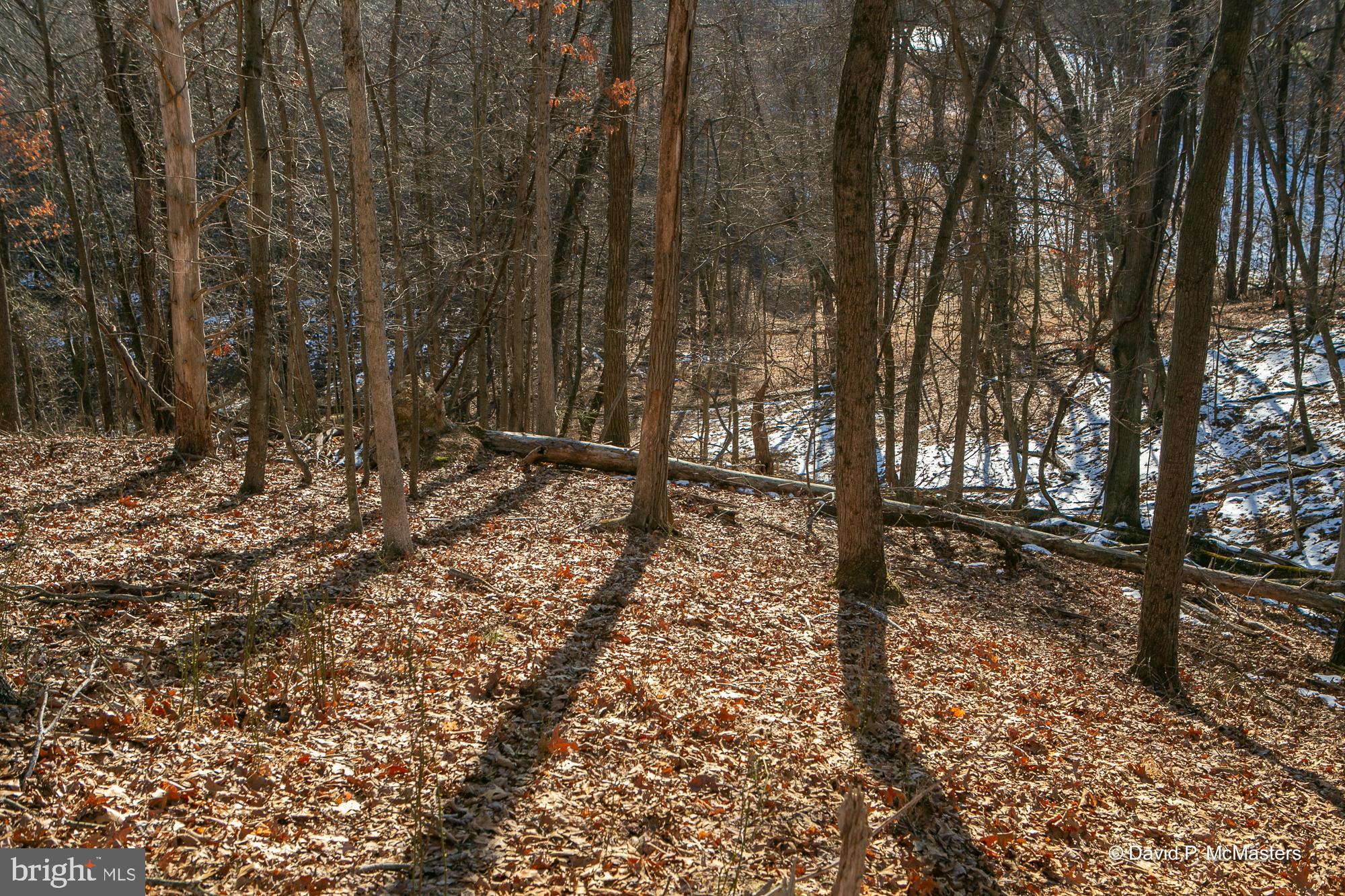 Teardrop Trail Gerrardstown, WV 25420 - Photo 15 of 29