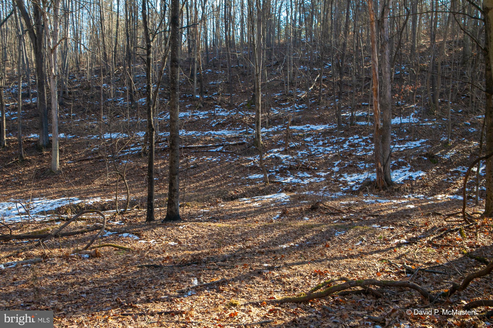 Teardrop Trail Gerrardstown, WV 25420 - Photo 16 of 29