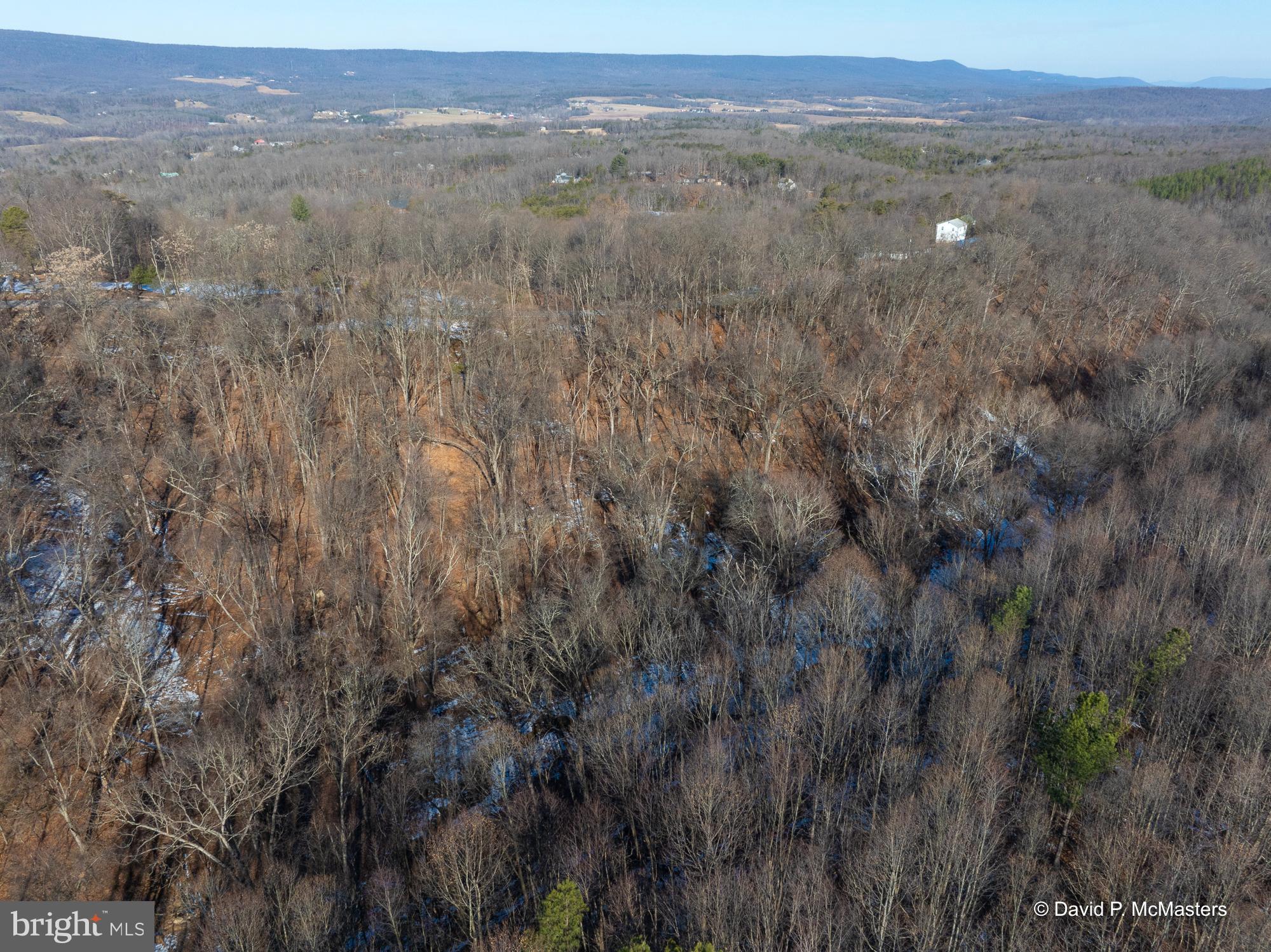 Teardrop Trail Gerrardstown, WV 25420 - Photo 21 of 29