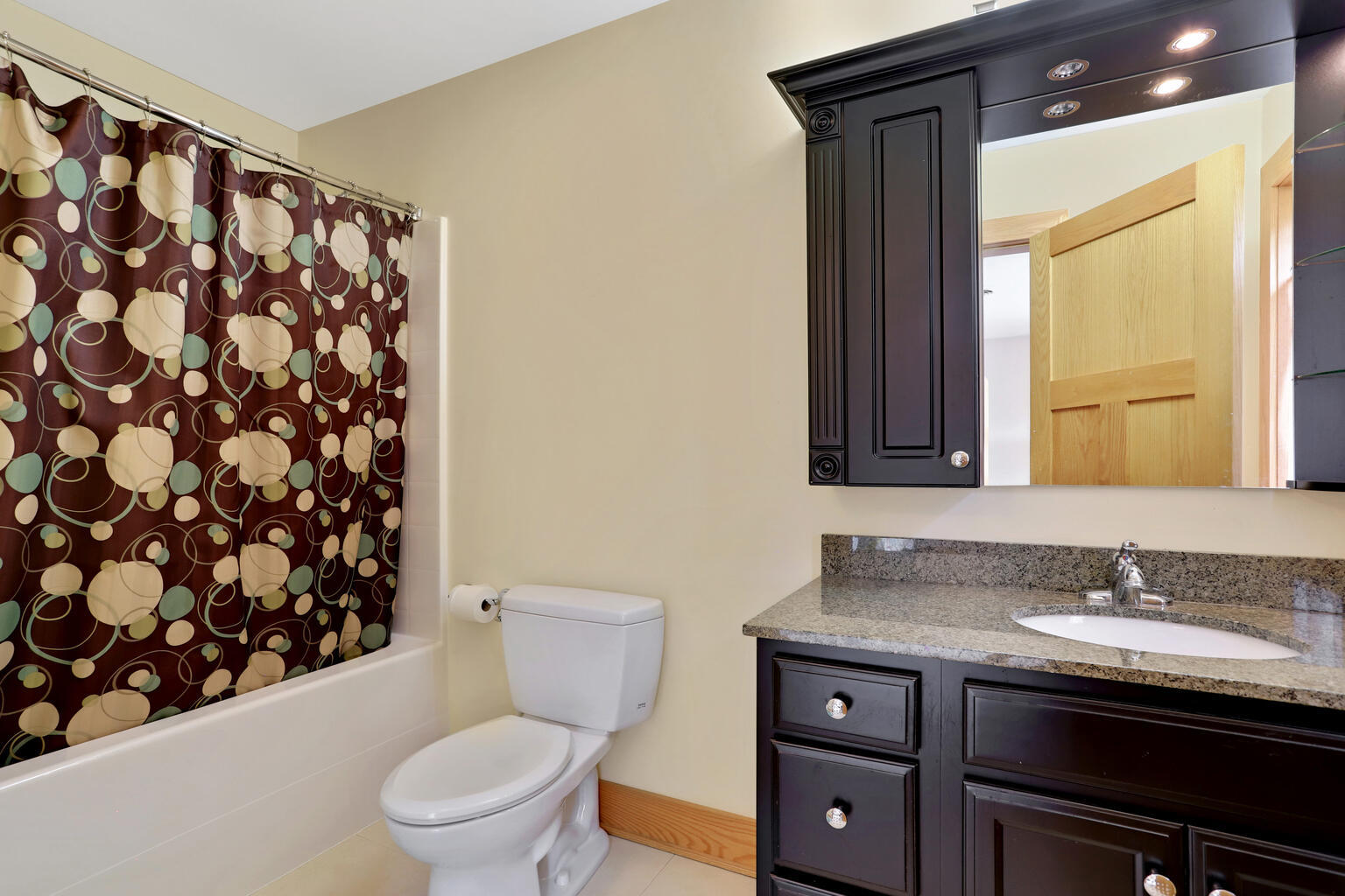 1011 West Charles Street Champaign, IL 61821 - Photo 28 of 51 a bathroom with a granite countertop toilet sink and mirror