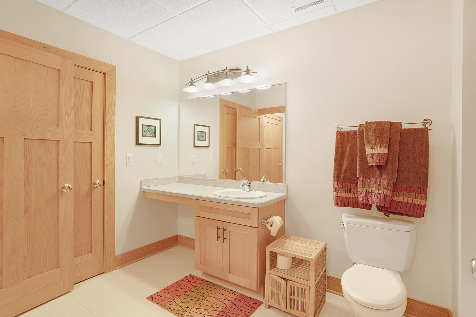 1011 West Charles Street Champaign, IL 61821 - Photo 43 of 51 a bathroom with a toilet a sink and mirror