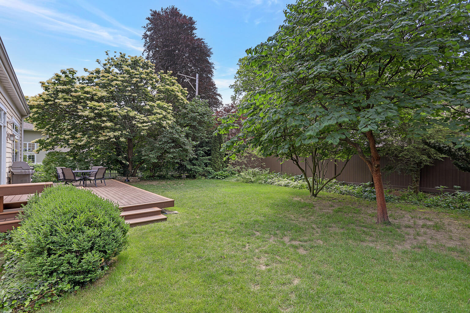 1011 West Charles Street Champaign, IL 61821 - Photo 46 of 51 a view of a backyard with plants and trees