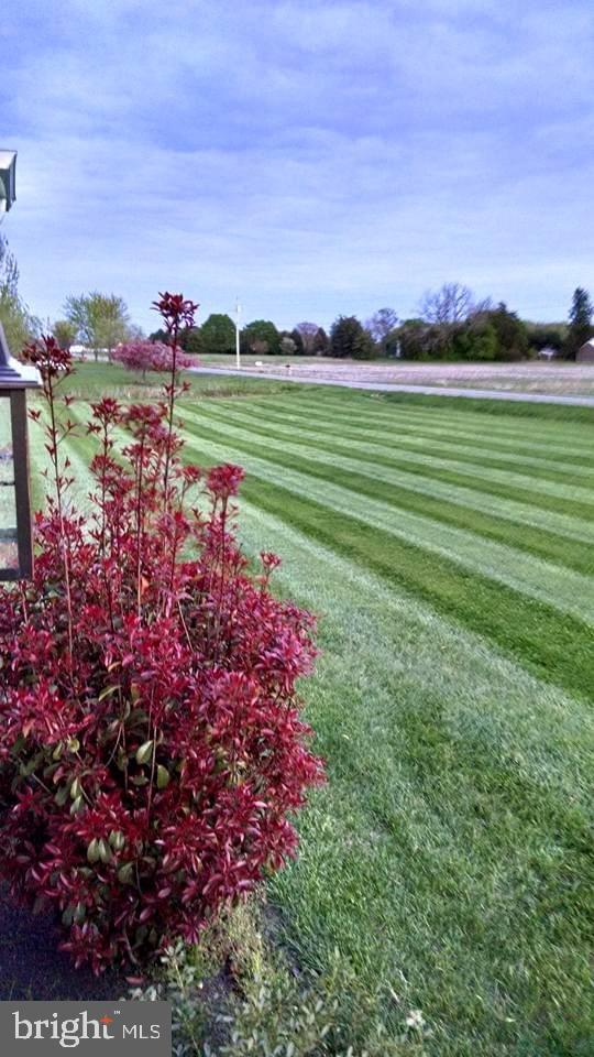 882 Road 221 Hartly, DE 19953 - Photo 7 of 38