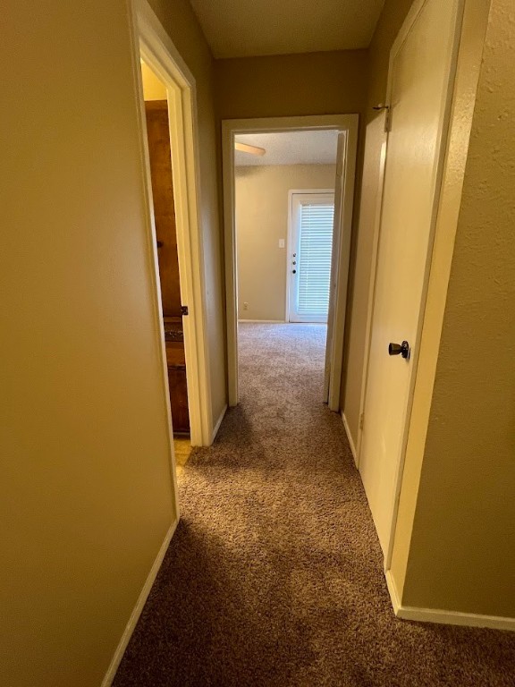 3000 South 1st Street, Unit 104 Austin, TX 78704 - Photo 21 of 31 an entryway door with wooden floor
