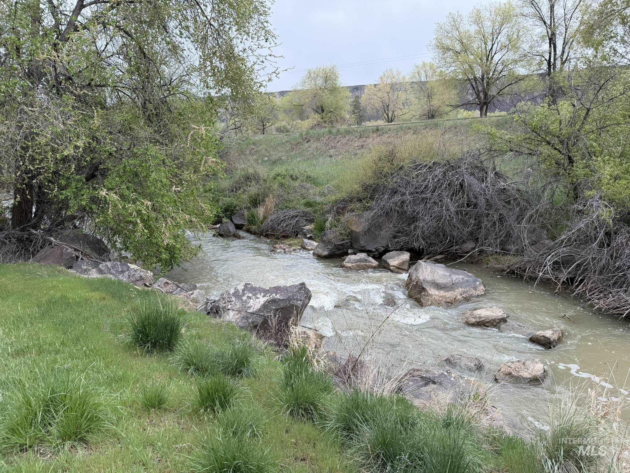 Tbd River Road Filer, ID 83328 - Photo 11 of 20
