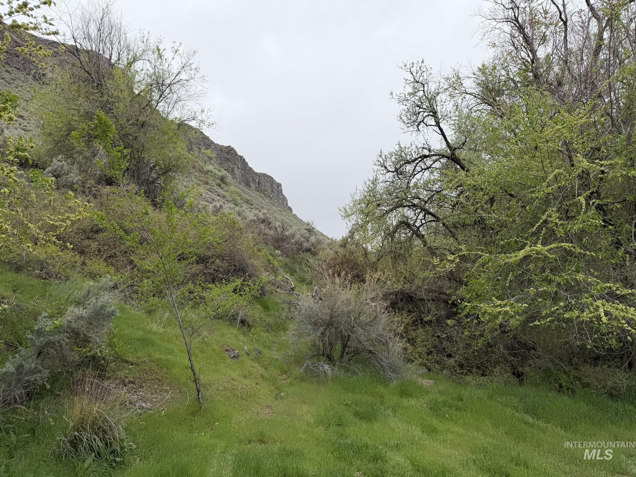 Tbd River Road Filer, ID 83328 - Photo 12 of 20