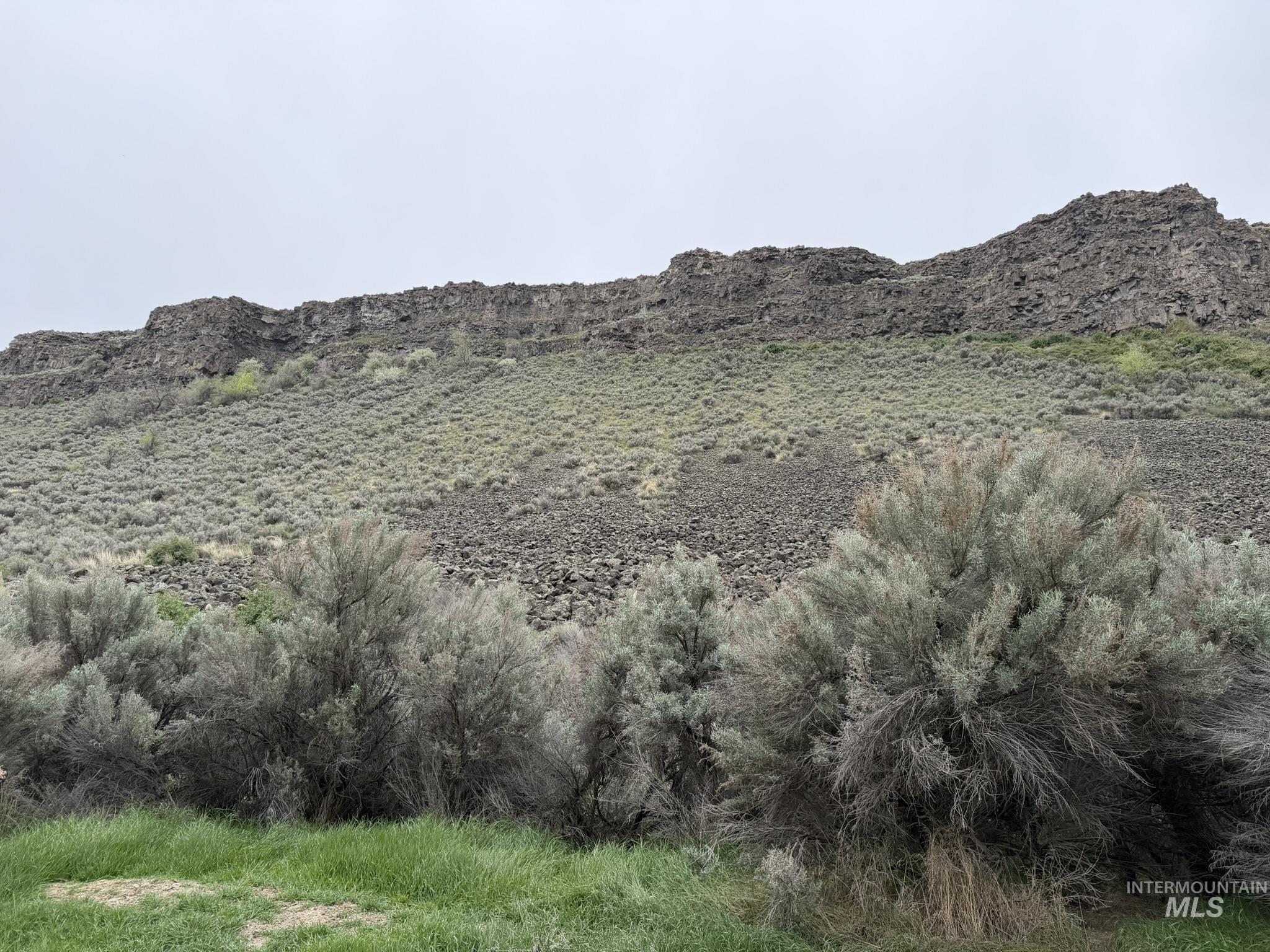 Tbd River Road Filer, ID 83328 - Photo 13 of 20