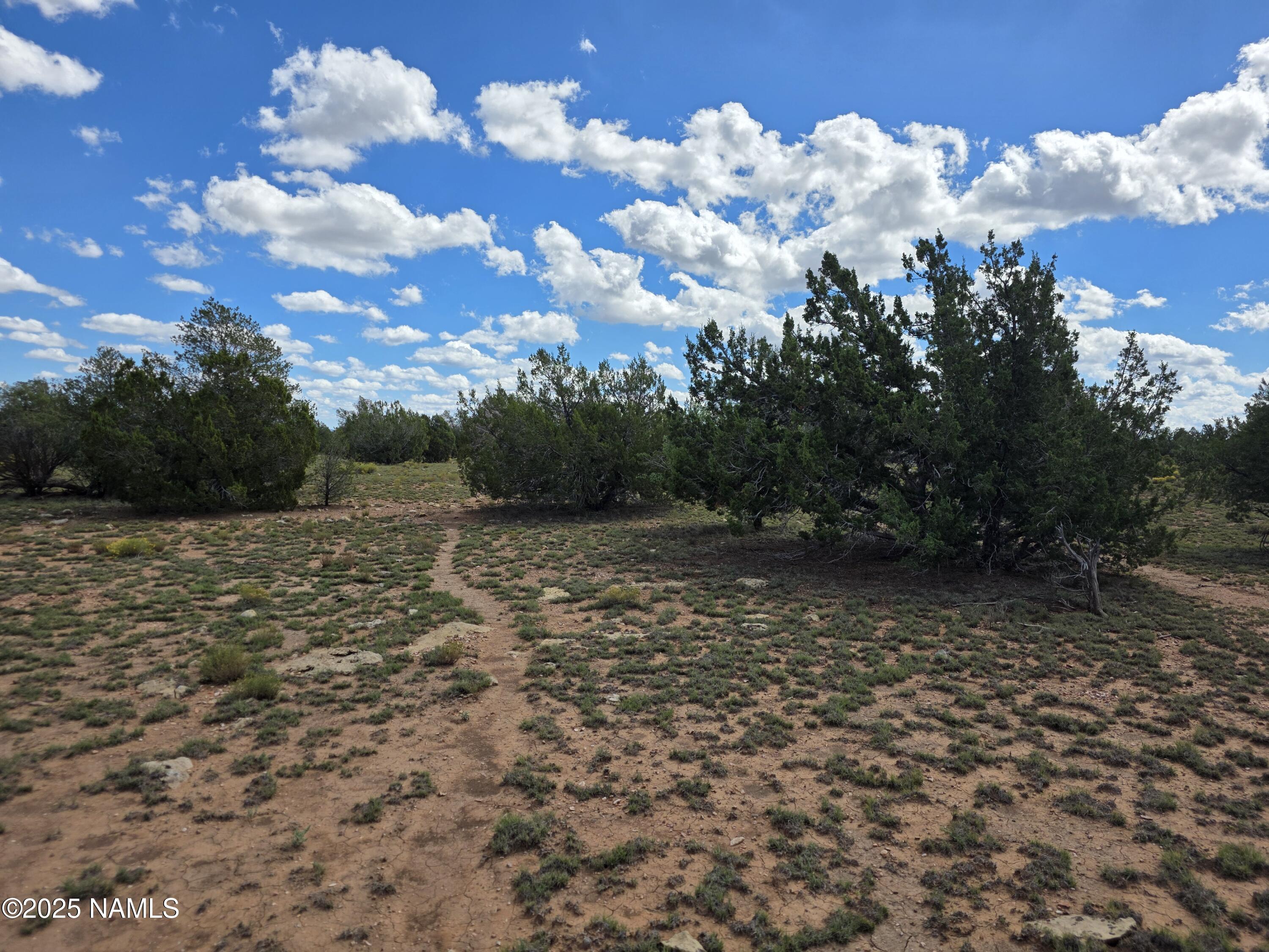 10422 West Red Bluff Road Williams, AZ 86046 - Photo 18 of 28 1000053456