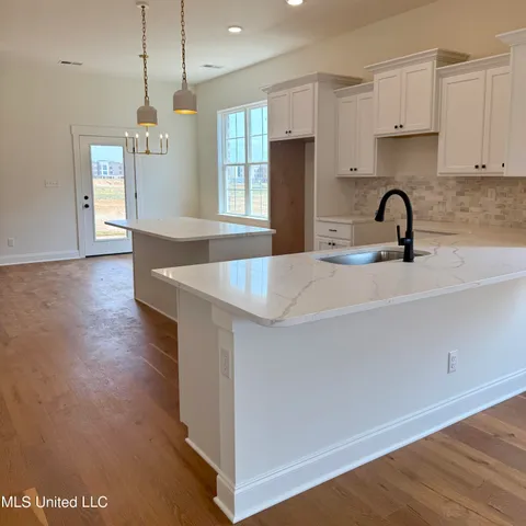 $388,900 | 970 Coahoma Court, Nesbit, MS 38651