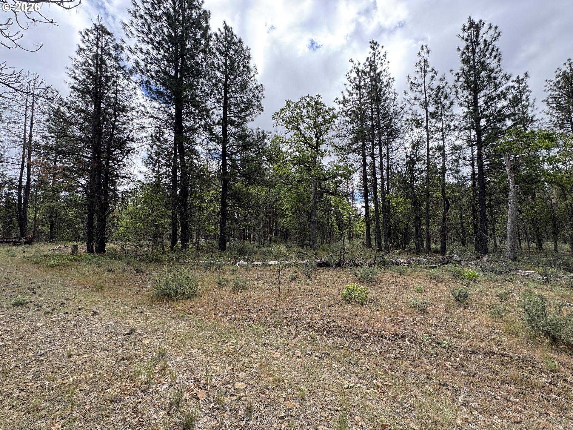Old Mountain Road Goldendale, WA 98620 - Photo 14 of 41