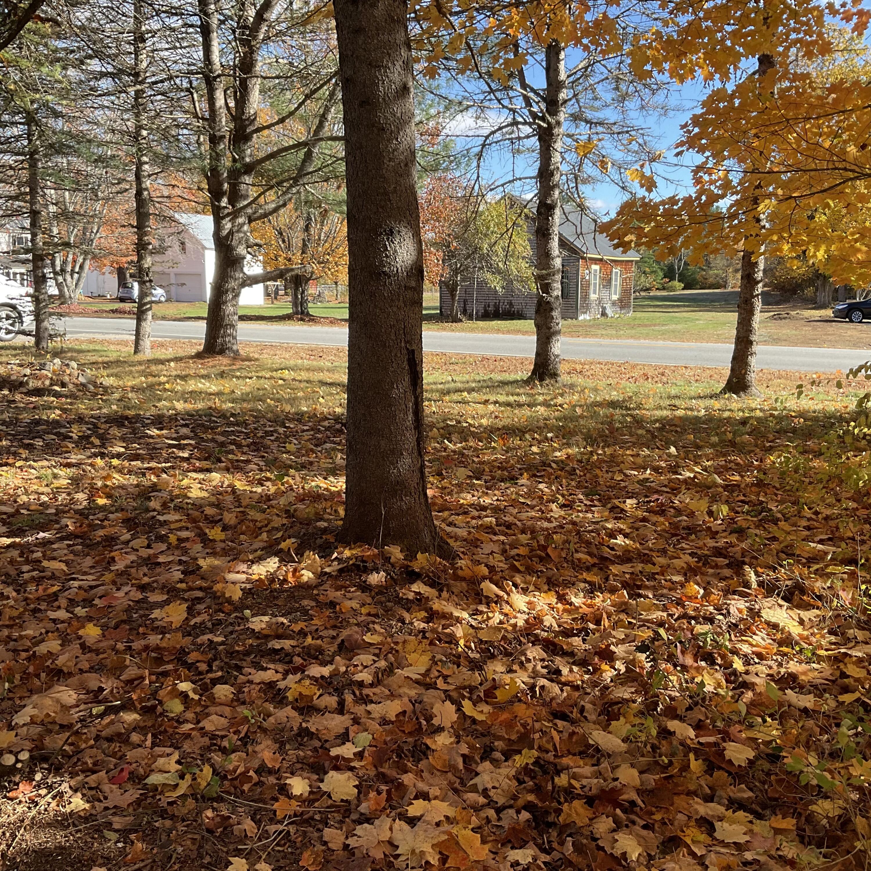 167 Main Street Brownfield, ME 04010 - Photo 52 of 58 IMG_7736
