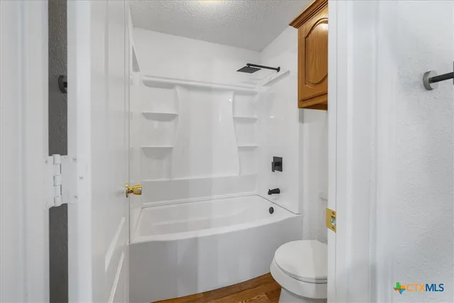 a bathroom with a toilet and a bathtub