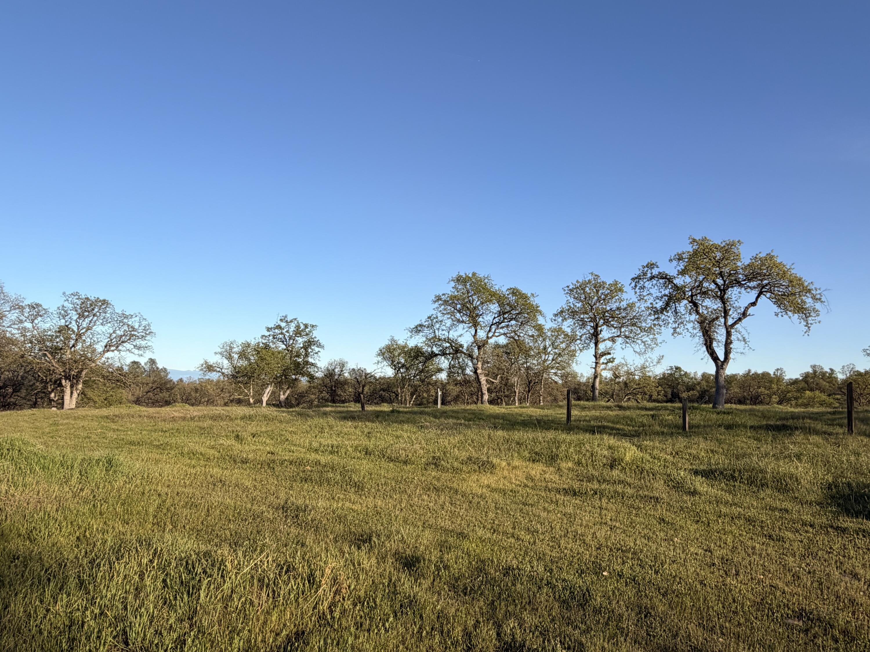 Olinda Road Anderson, CA 96007 - Photo 1 of 20 a view of ocean with a large trees