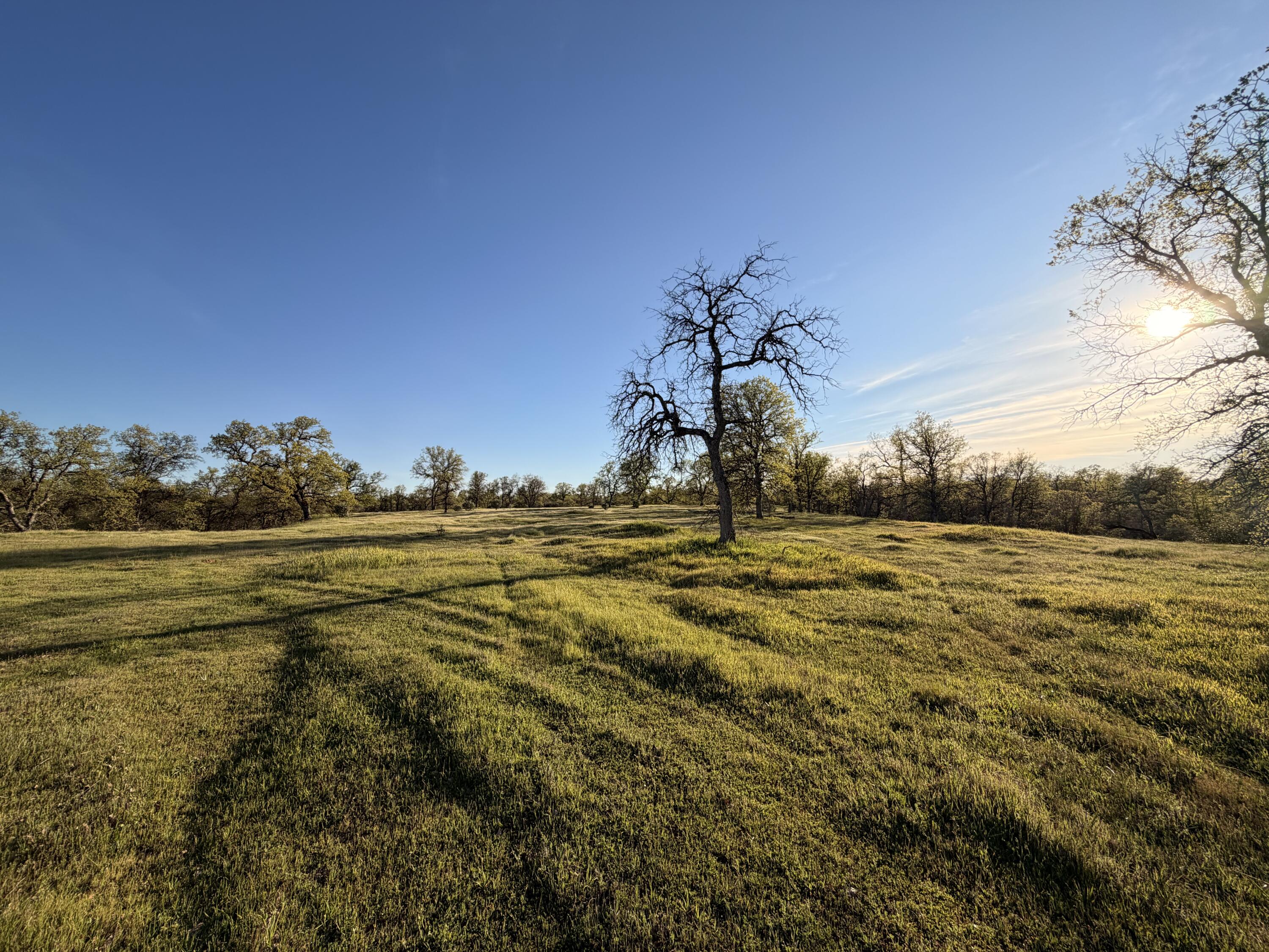 Olinda Road Anderson, CA 96007 - Photo 11 of 20
