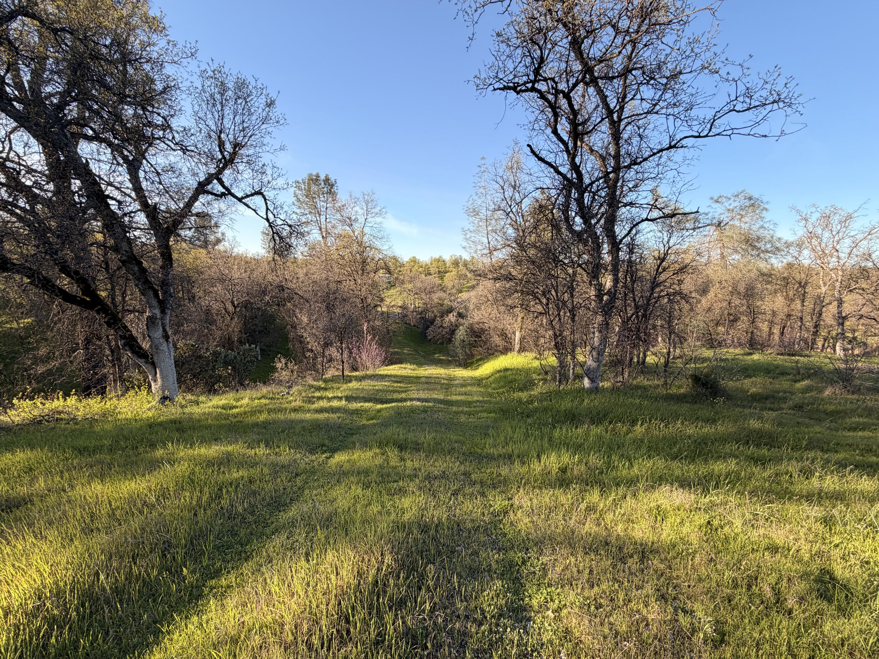 Olinda Road Anderson, CA 96007 - Photo 12 of 20 a view of a house with a big yard