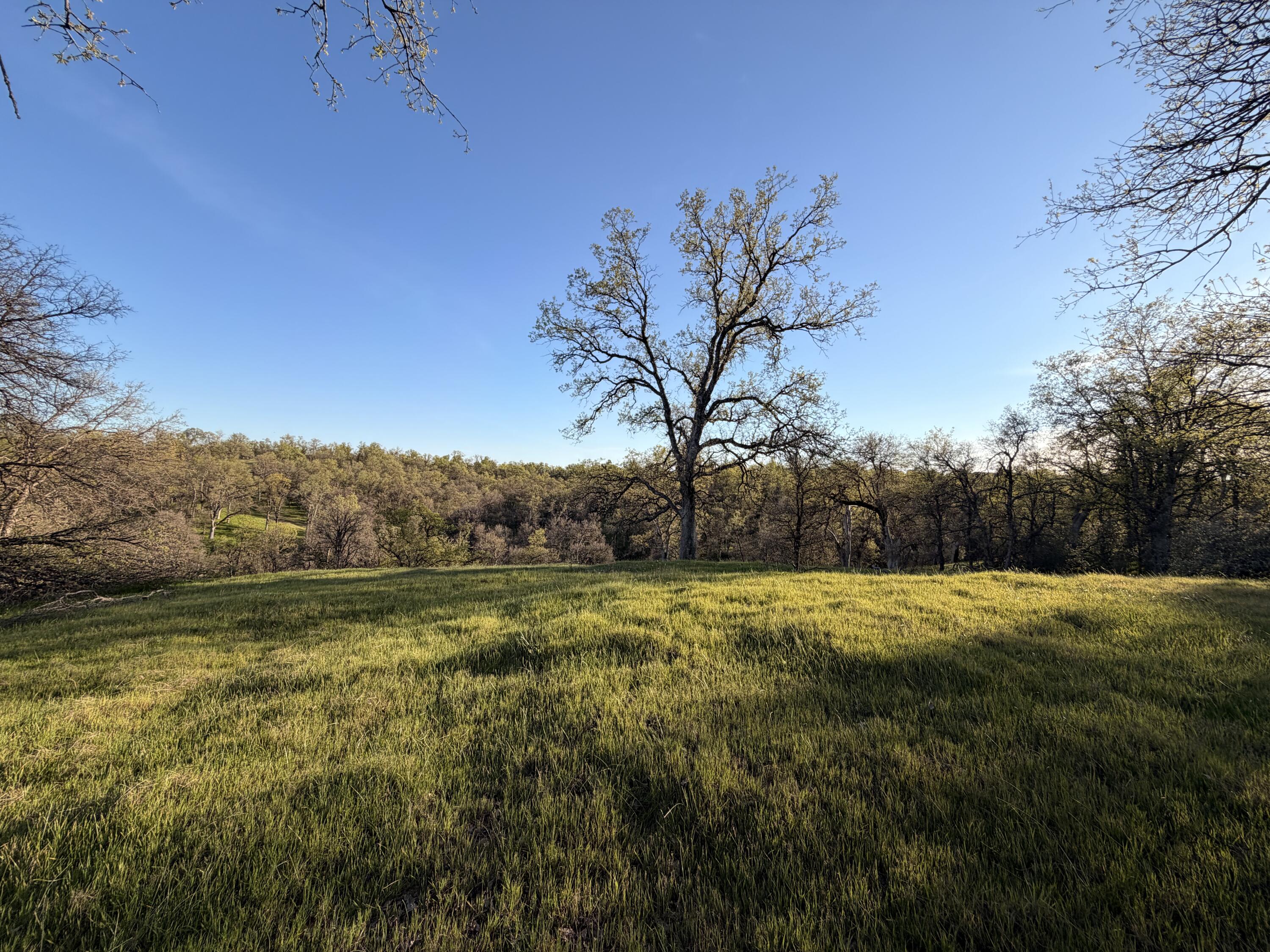 Olinda Road Anderson, CA 96007 - Photo 15 of 20 a view of an ocean from a yard