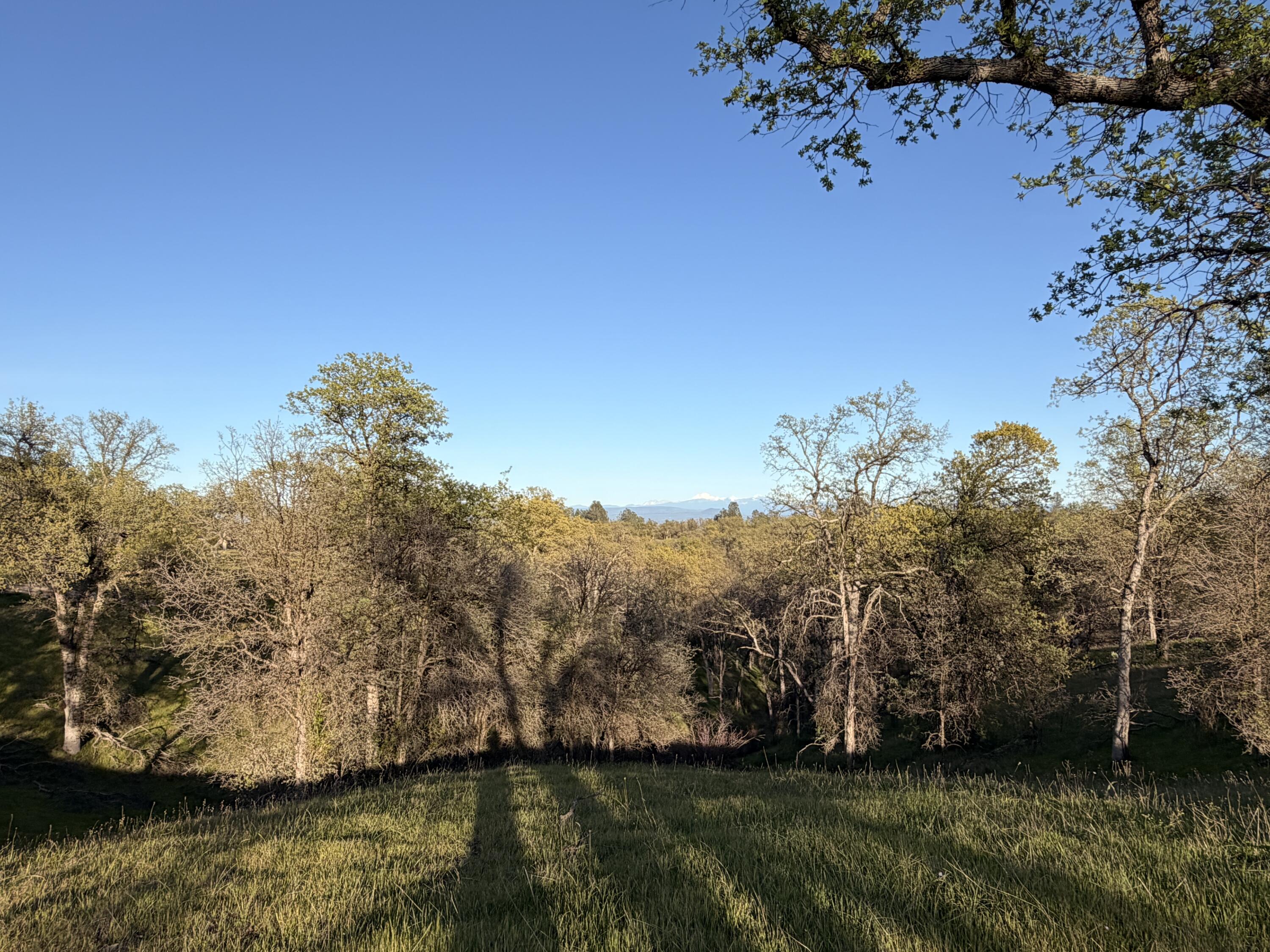 Olinda Road Anderson, CA 96007 - Photo 17 of 20 a view of lake with green space