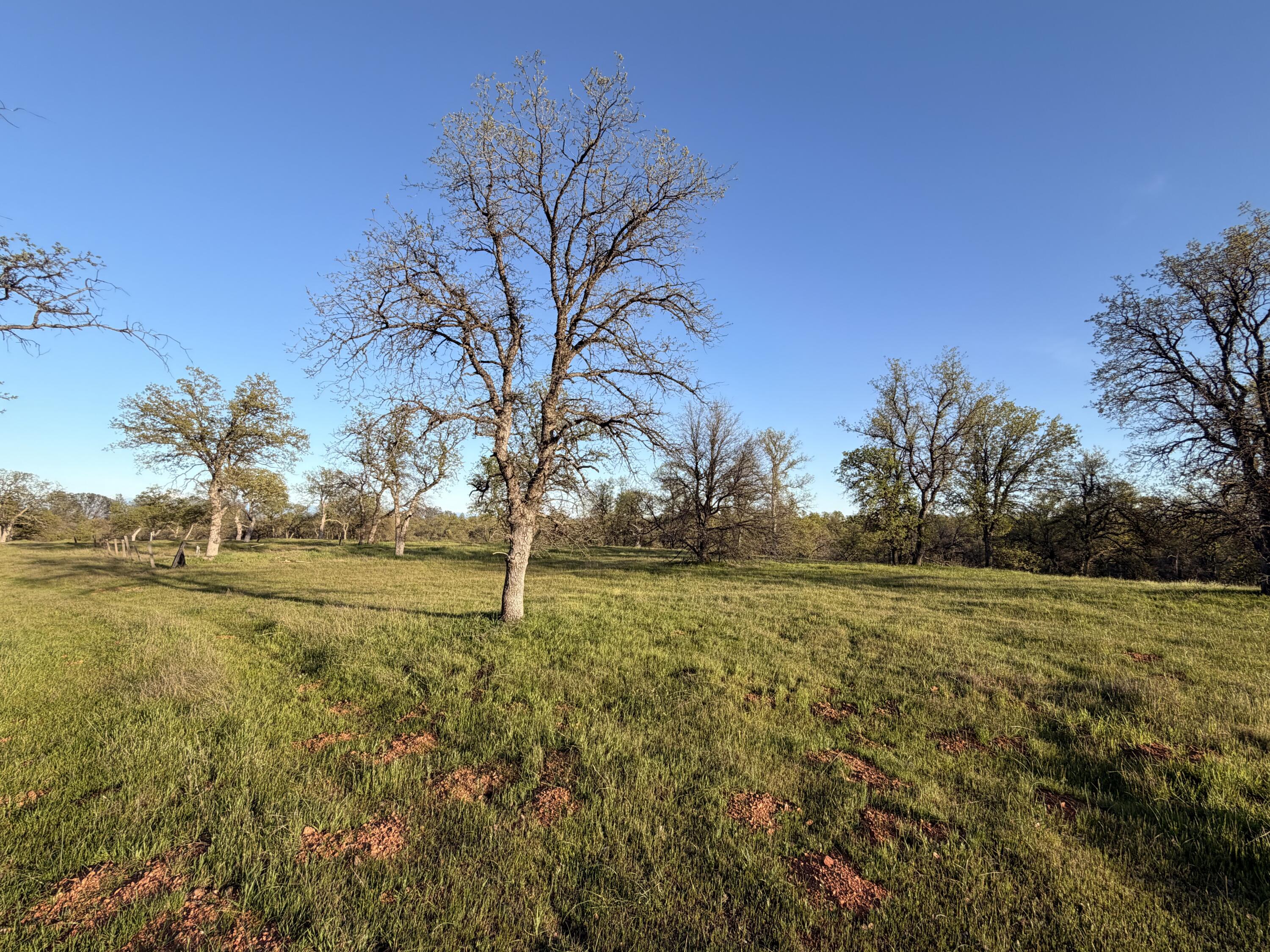 Olinda Road Anderson, CA 96007 - Photo 19 of 20 a view of an ocean