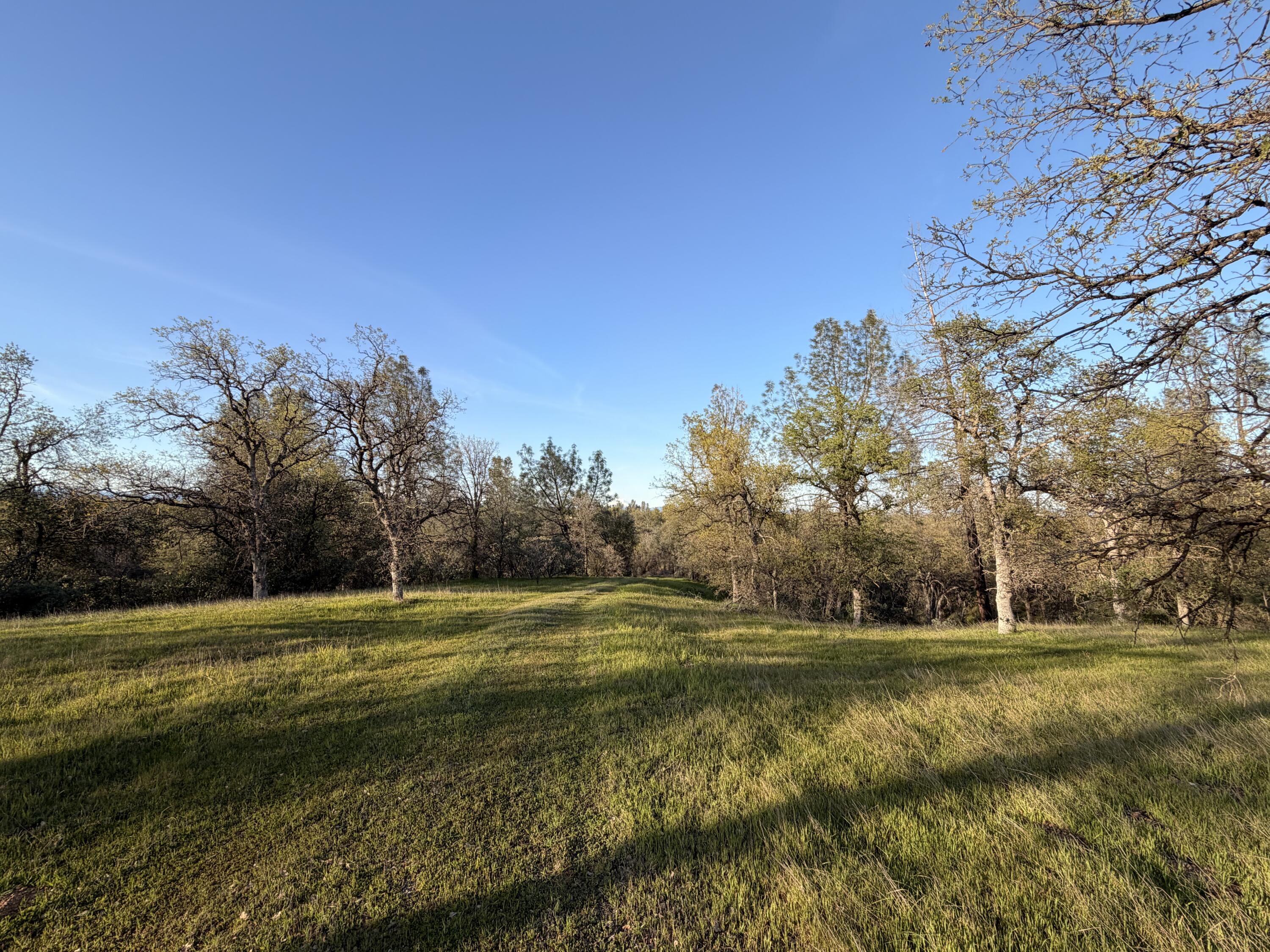 Olinda Road Anderson, CA 96007 - Photo 20 of 20 a view of a golf course with a lake
