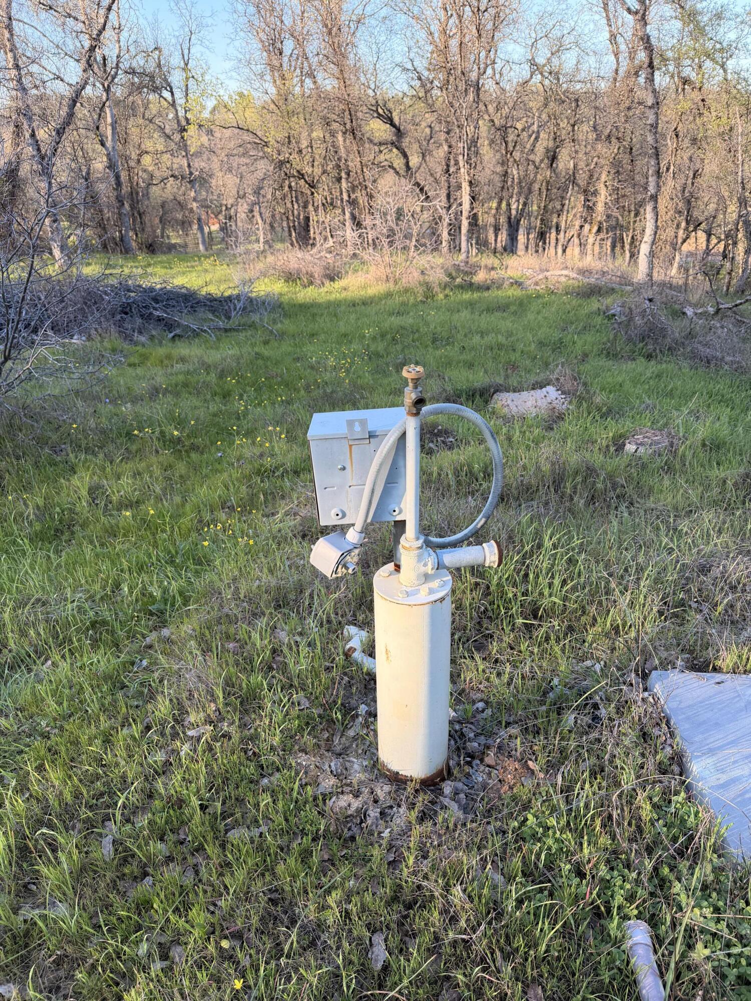 Olinda Road Anderson, CA 96007 - Photo 9 of 20 a house view with a garden space