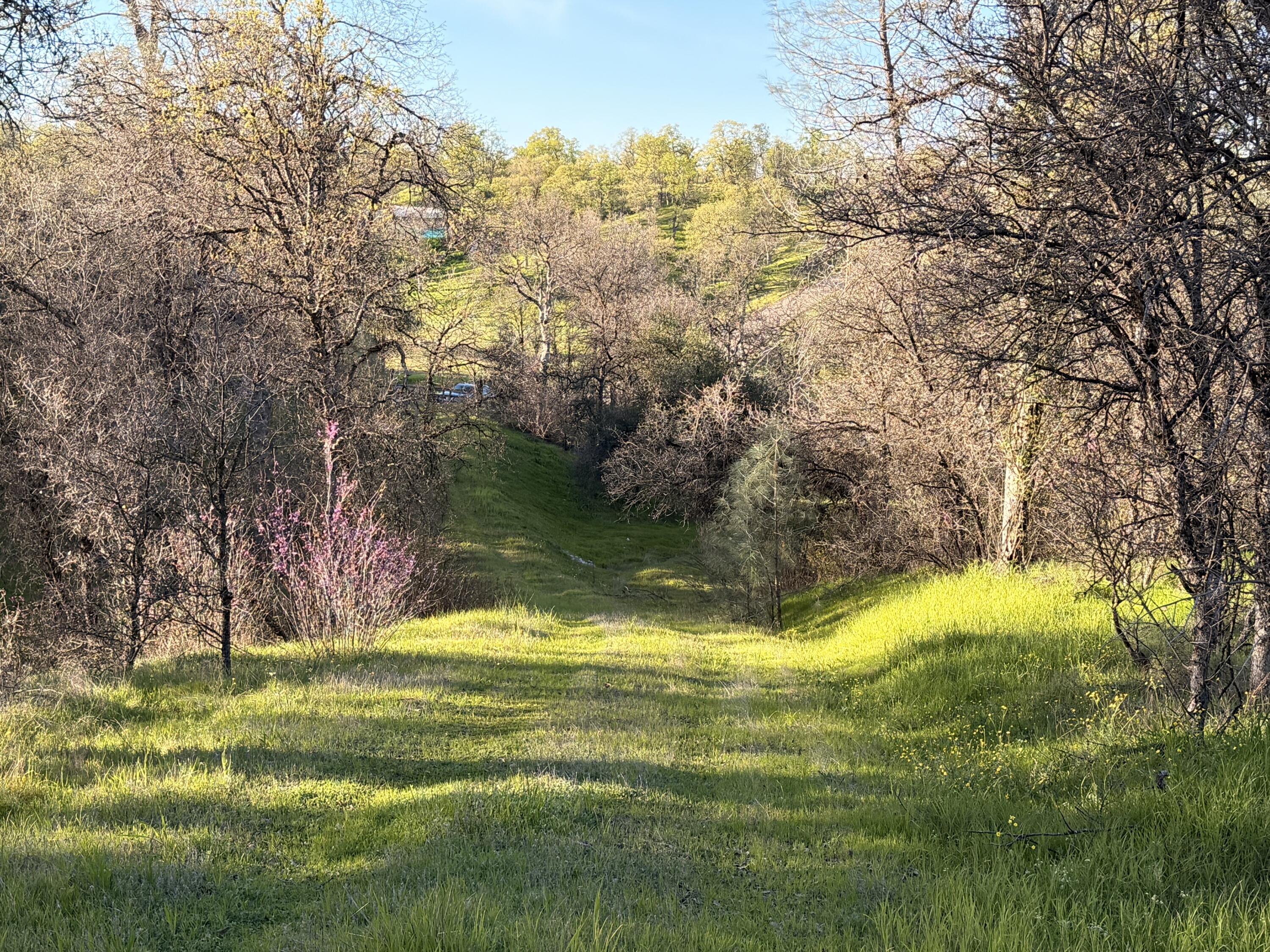 Olinda Road Anderson, CA 96007 - Photo 10 of 20