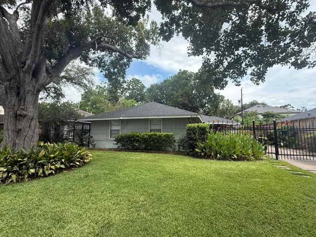a view of a backyard with potted plants and large trees