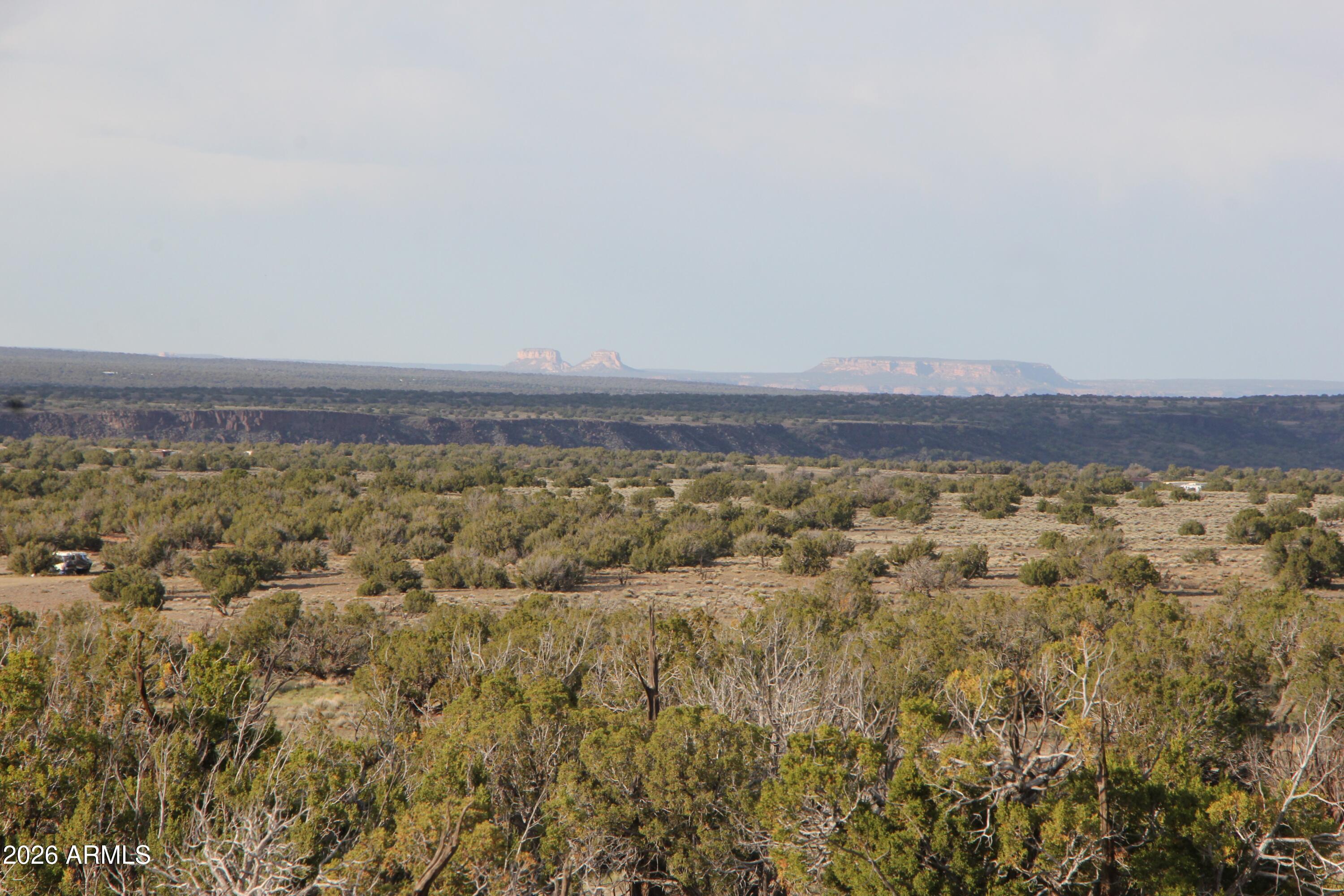 6711 North N6711 Road, Unit 64 St. Johns, AZ 85936 - Photo 2 of 21