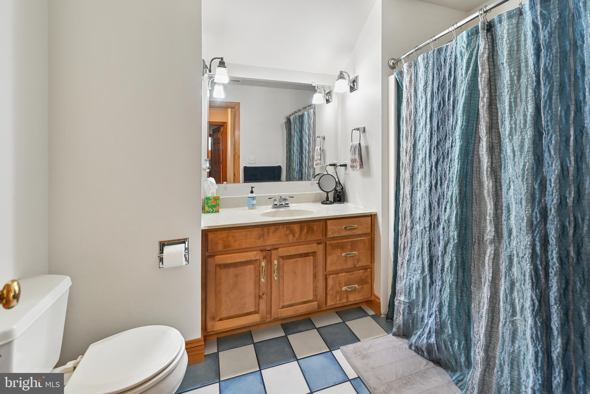 1495 Midstate Road Felton, DE 19943 - Photo 19 of 25 a bathroom with a sink a toilet a mirror and shower curtain