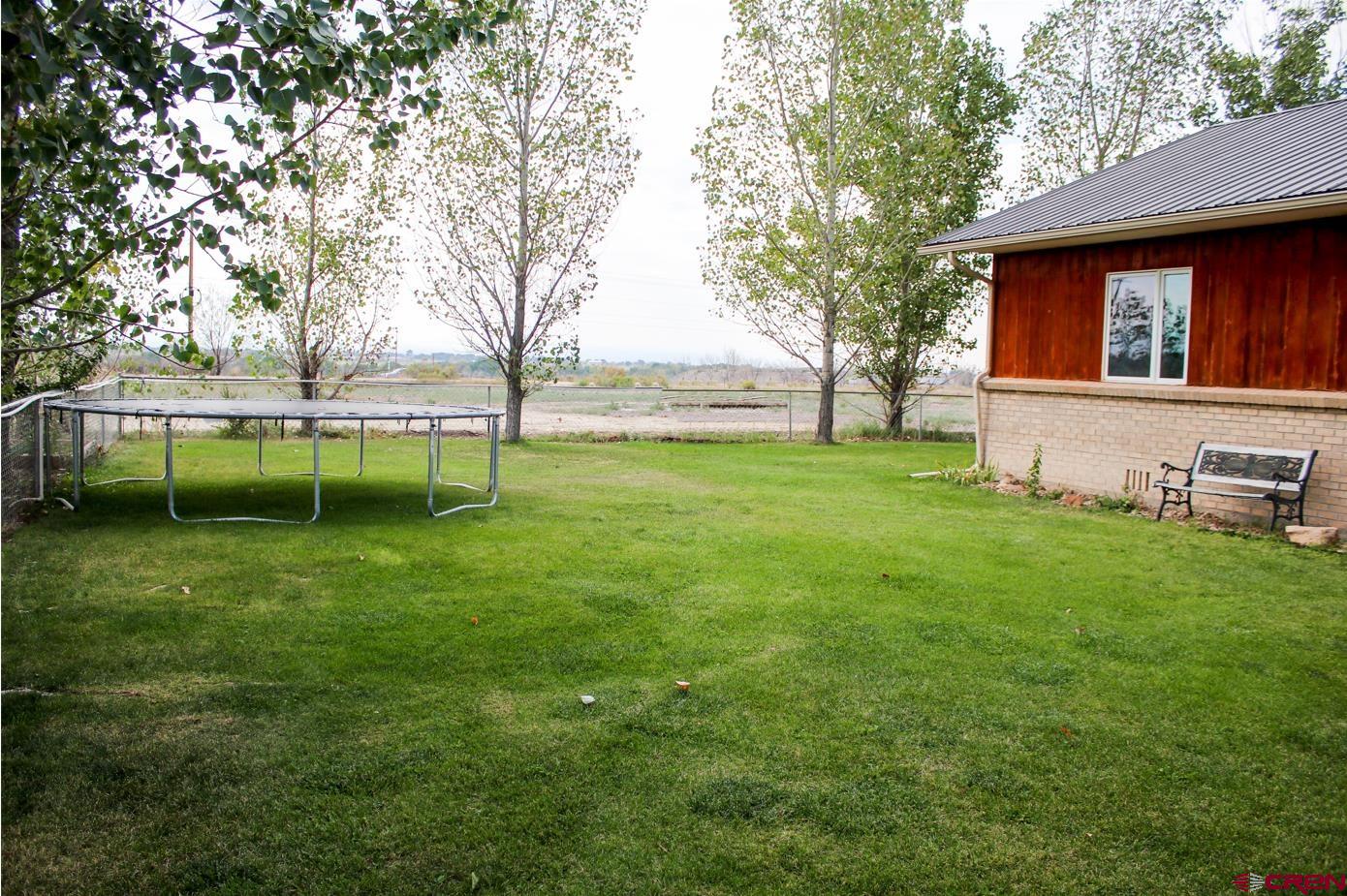 58811 Banner Road Olathe, CO 81425 - Photo 4 of 35 a view of house with backyard