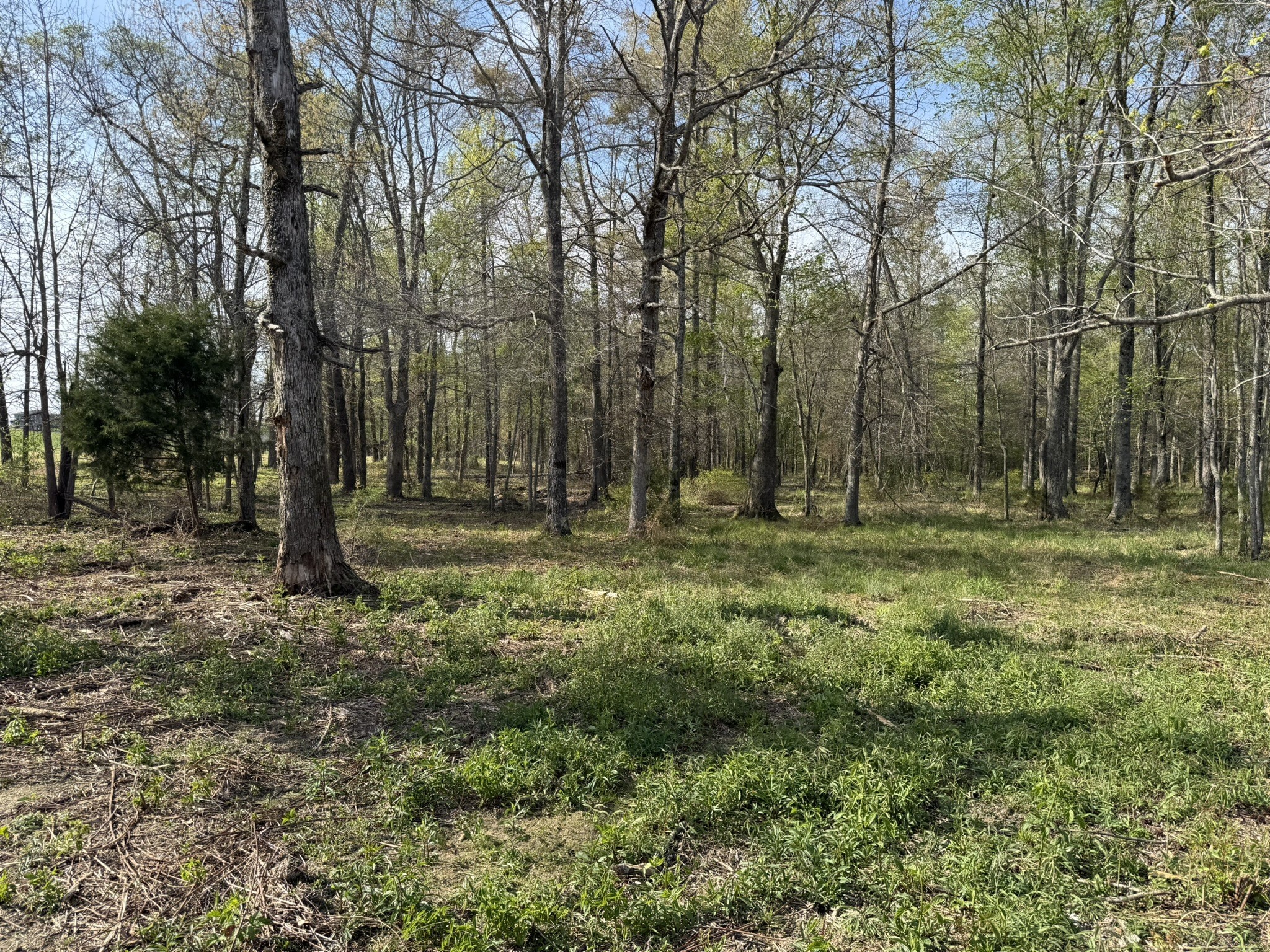 0 Bob Meadows Road Manchester, TN 37355 - Photo 4 of 6
